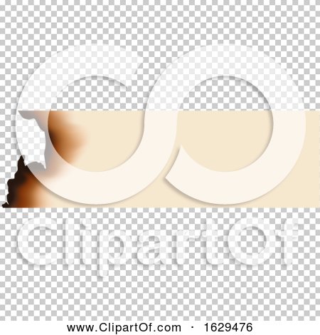 Transparent clip art background preview #COLLC1629476