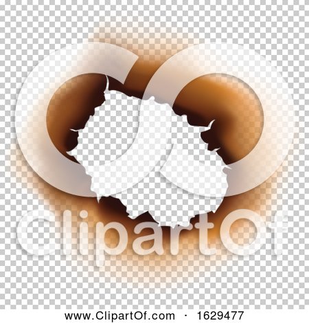 Transparent clip art background preview #COLLC1629477