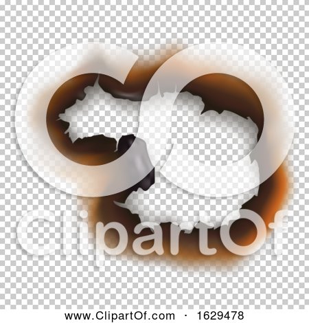 Transparent clip art background preview #COLLC1629478