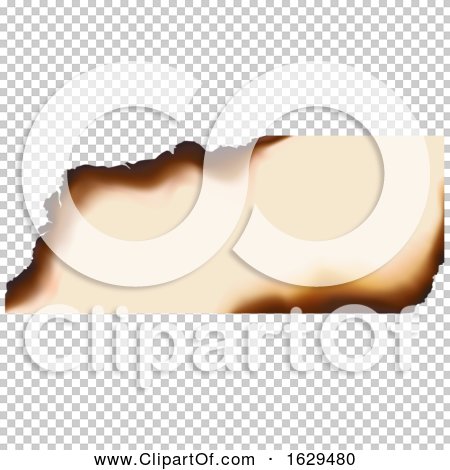 Transparent clip art background preview #COLLC1629480