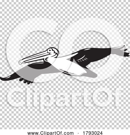 Transparent clip art background preview #COLLC1793024