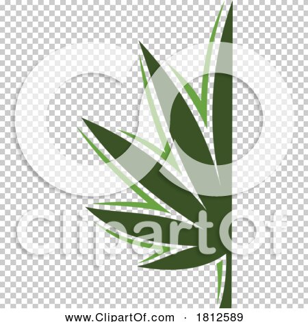 Transparent clip art background preview #COLLC1812589