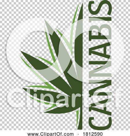 Transparent clip art background preview #COLLC1812590