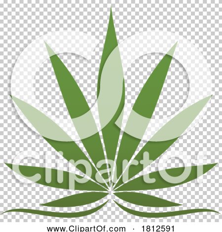 Transparent clip art background preview #COLLC1812591