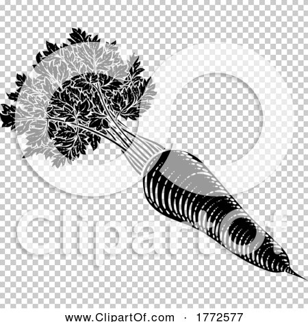 Transparent clip art background preview #COLLC1772577