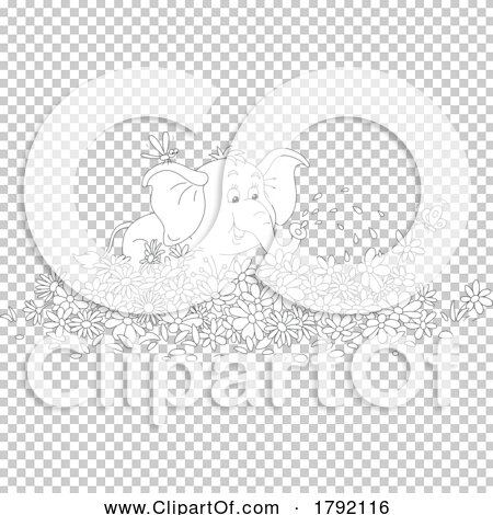 Transparent clip art background preview #COLLC1792116