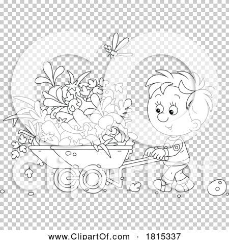 Transparent clip art background preview #COLLC1815337