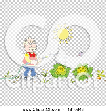 Transparent clip art background preview #COLLC1810848