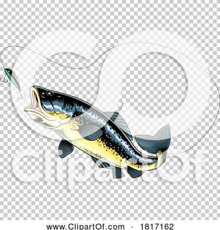 Transparent clip art background preview #COLLC1817162