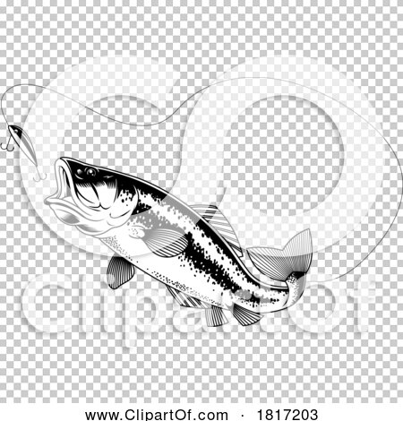 Transparent clip art background preview #COLLC1817203