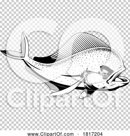 Transparent clip art background preview #COLLC1817204