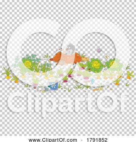 Transparent clip art background preview #COLLC1791852