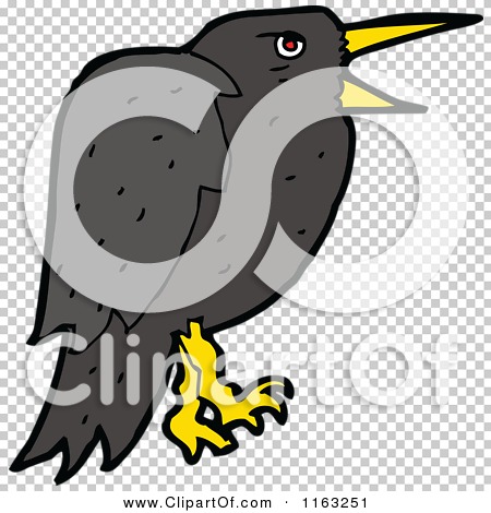 Cartoon of a Crow - Royalty Free Vector Illustration by lineartestpilot