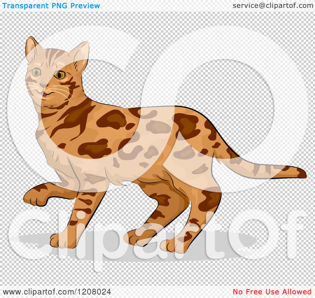 Cartoon of a Cute Bengal Cat - Royalty Free Vector Clipart by BNP Design  Studio #1208024