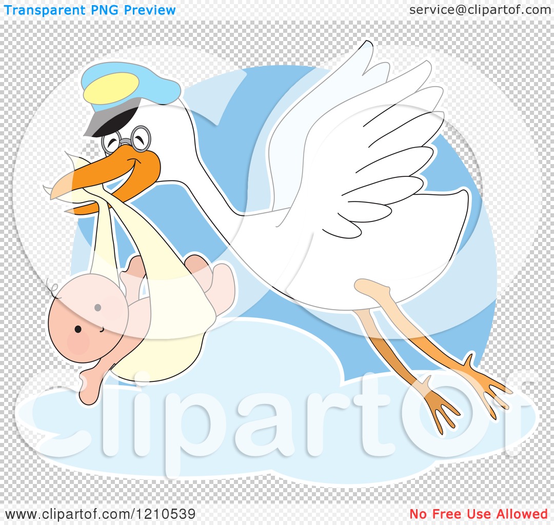 Cartoon of a Happy Stork Bird Fling with a Baby in a Bundle - Royalty Free  Vector Clipart by Maria Bell #1210539