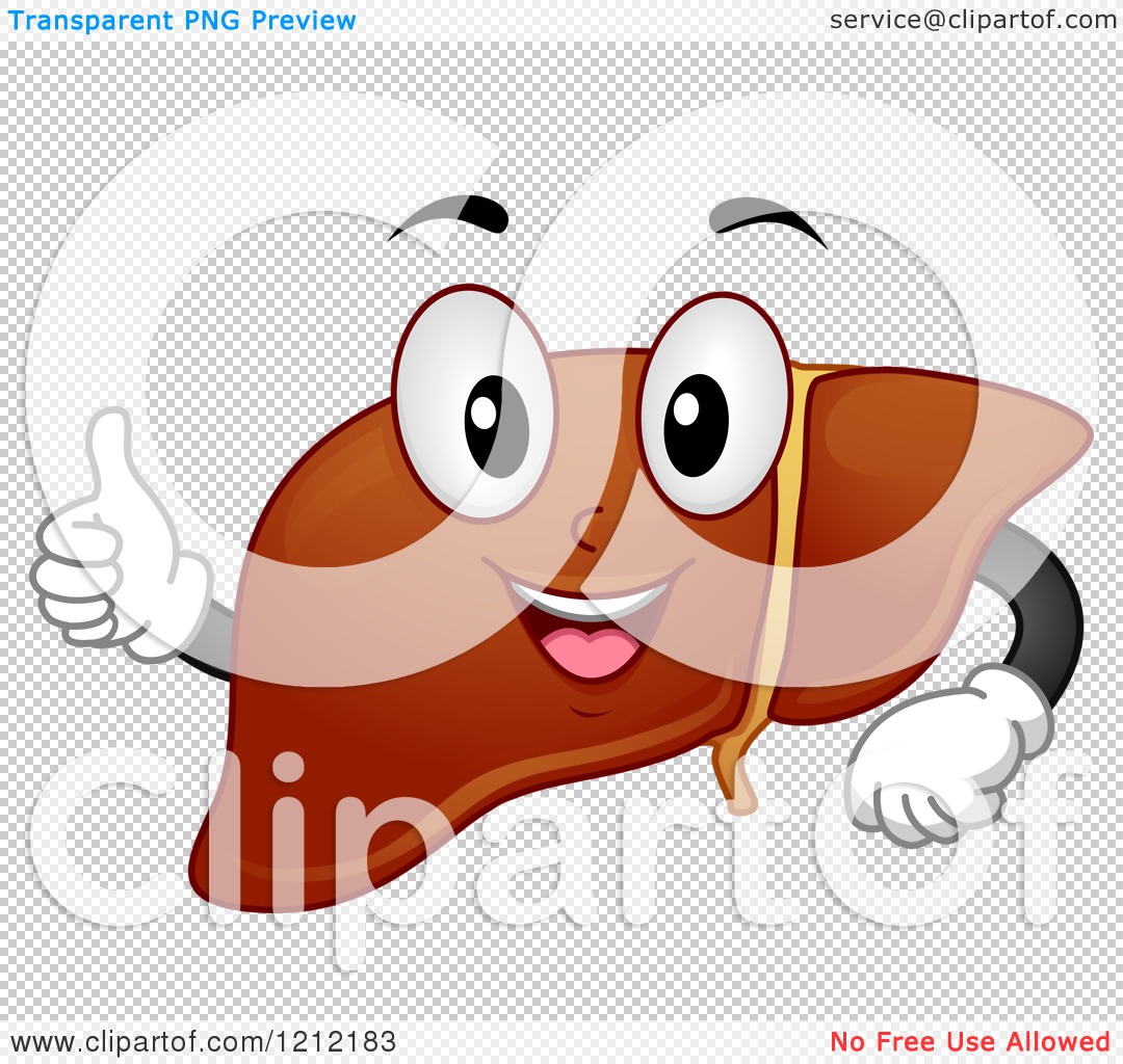 Cartoon of a Healthy Liver Organ Mascot Holding a Thumb up - Royalty Free  Vector Clipart by BNP Design Studio #1212183