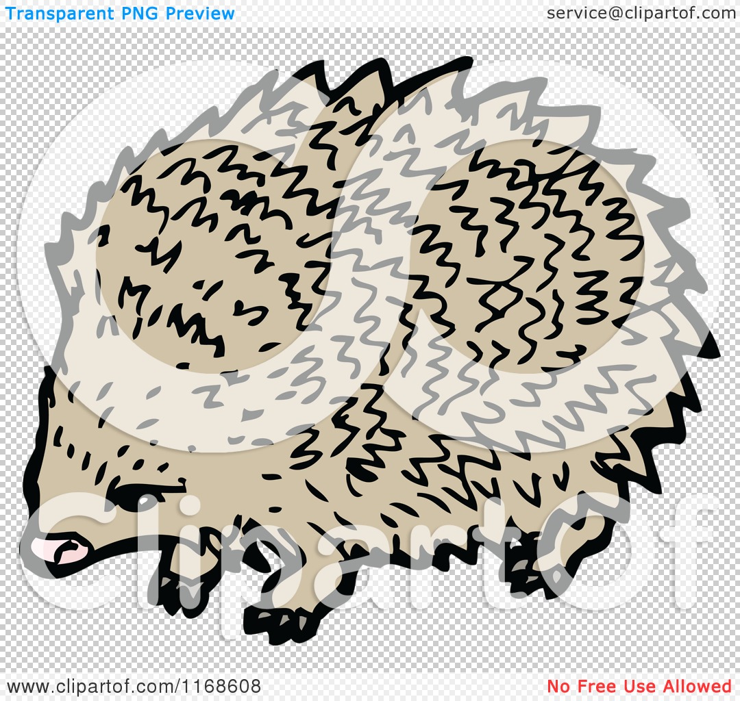 Cartoon of a Hedgehog - Royalty Free Vector Illustration by