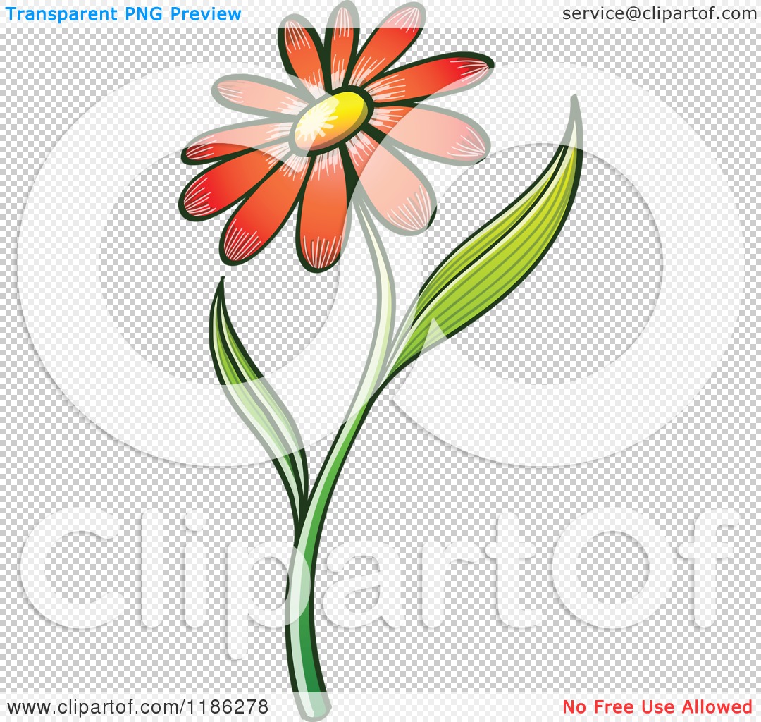 Cartoon of a Red Daisy Flower and Stem - Royalty Free Vector Clipart by  Zooco #1186278