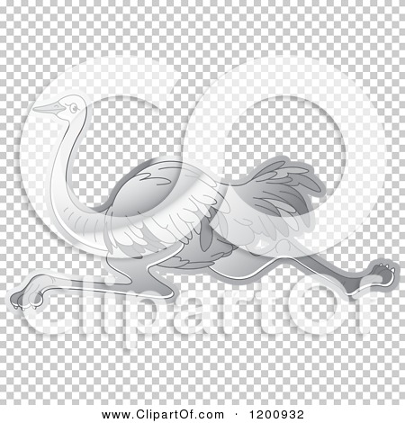 Transparent clip art background preview #COLLC1200932