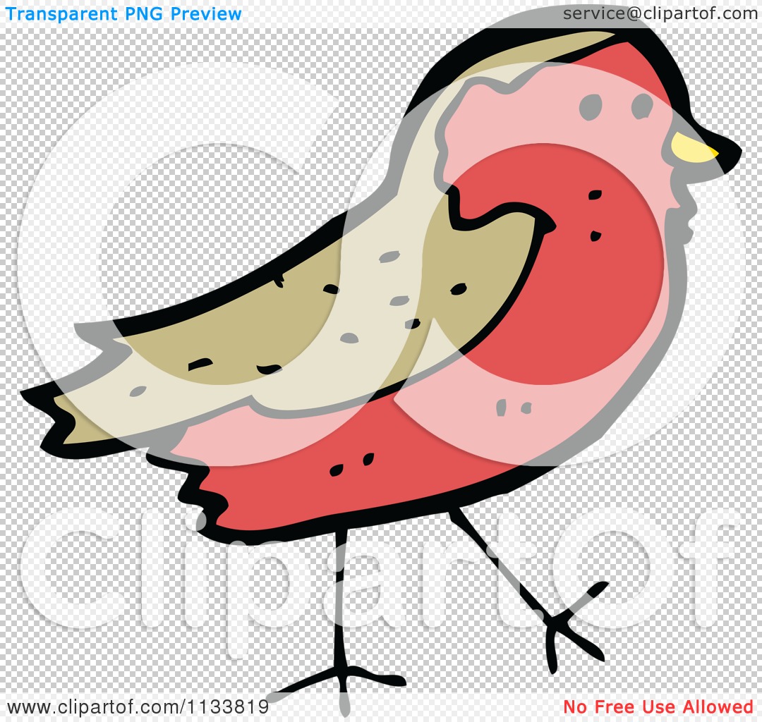 Cartoon Of A Robin Bird 2 - Royalty Free Vector Clipart by