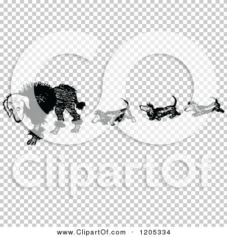 Transparent clip art background preview #COLLC1205334