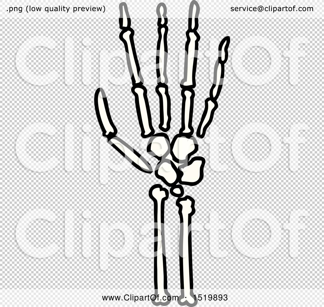 Cartoon Skeleton Hand by lineartestpilot #1519893