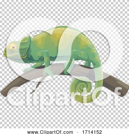 Transparent clip art background preview #COLLC1714152
