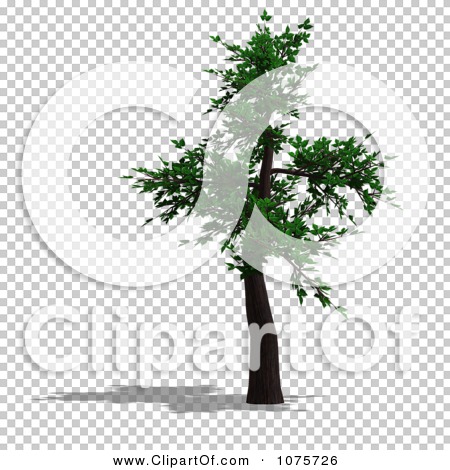 Transparent clip art background preview #COLLC1075726