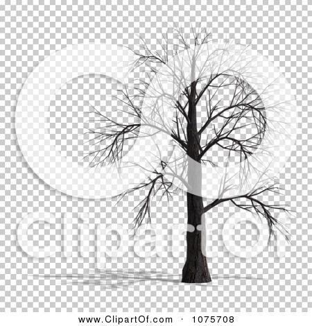 Transparent clip art background preview #COLLC1075708