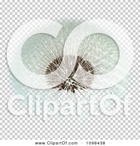 Transparent clip art background preview #COLLC1098438