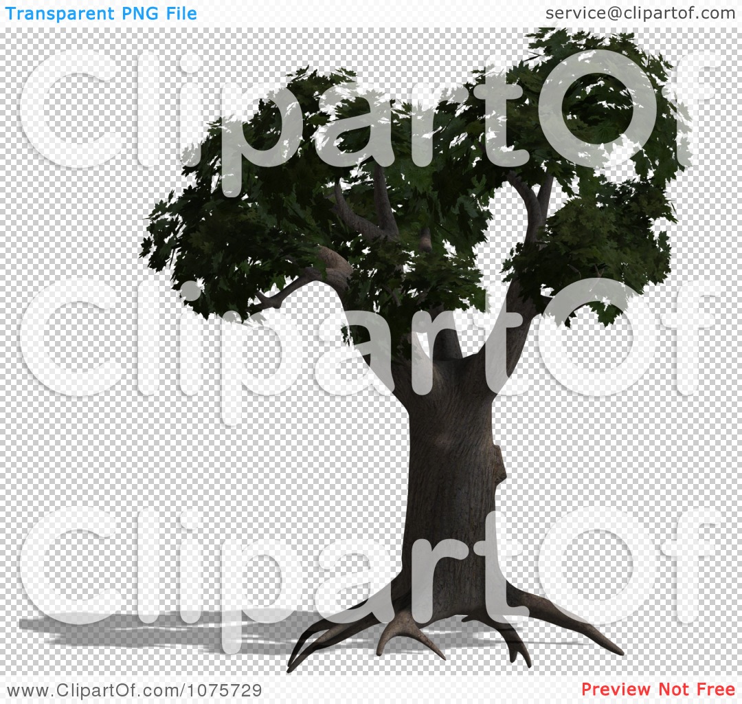 Clipart 3d Maple Tree - Royalty Free CGI Illustration by Ralf61 #1075729