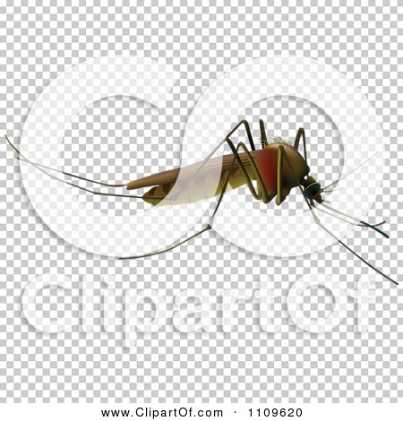 Transparent clip art background preview #COLLC1109620