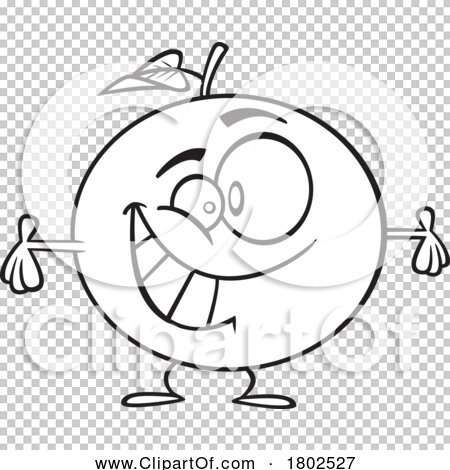 two oranges clipart black and white