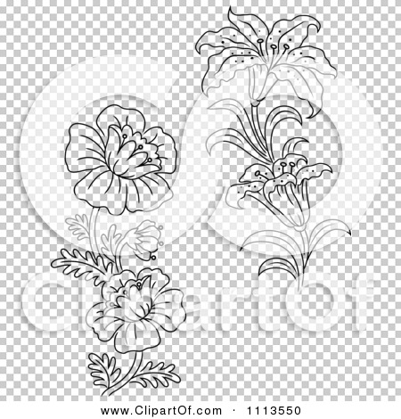 Clipart Black And White Lily And Wild Flowers - Royalty Free Vector