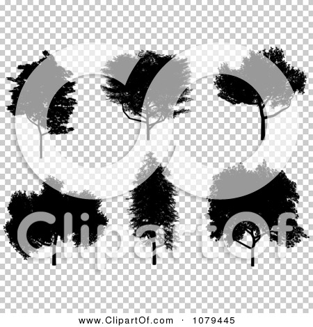 Transparent clip art background preview #COLLC1079445