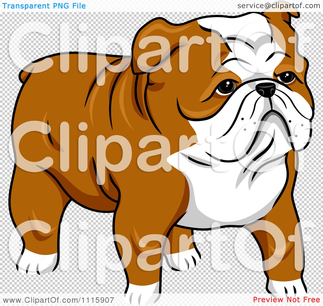 Clipart Cute English Bulldog Royalty Free Vector Illustration By