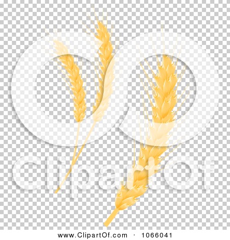 Transparent clip art background preview #COLLC1066041