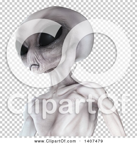 Transparent clip art background preview #COLLC1407479