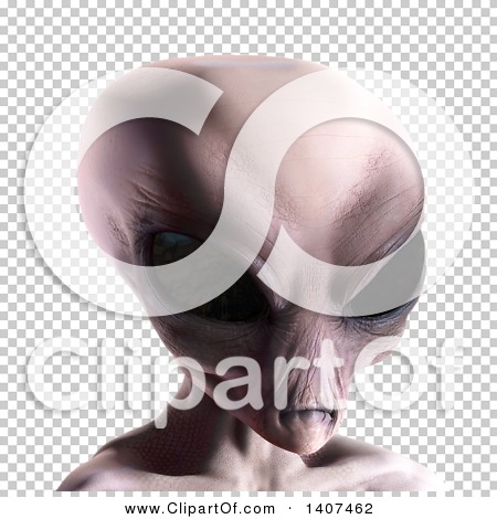 Transparent clip art background preview #COLLC1407462