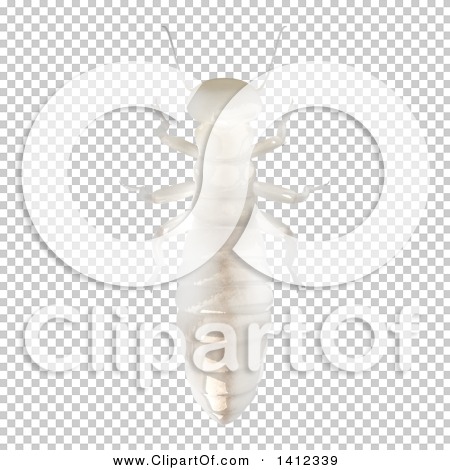 Transparent clip art background preview #COLLC1412339