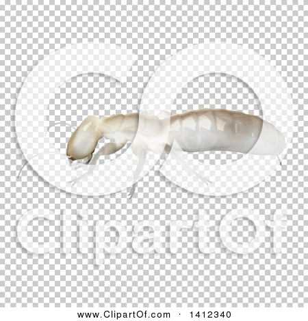 Transparent clip art background preview #COLLC1412340