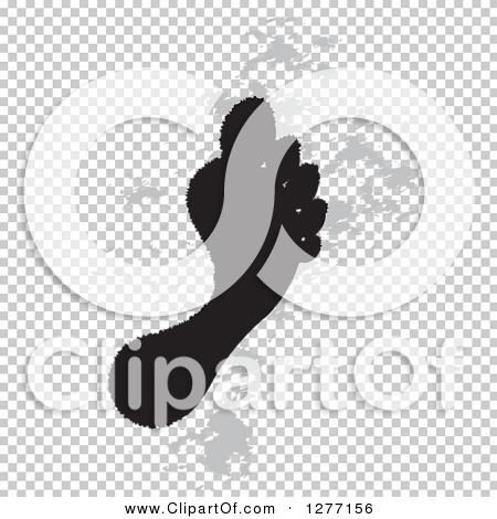 Transparent clip art background preview #COLLC1277156
