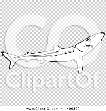 Transparent clip art background preview #COLLC1490800
