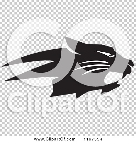 Transparent clip art background preview #COLLC1197554