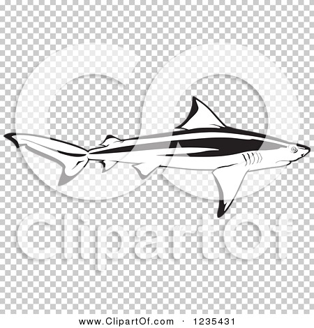 Transparent clip art background preview #COLLC1235431