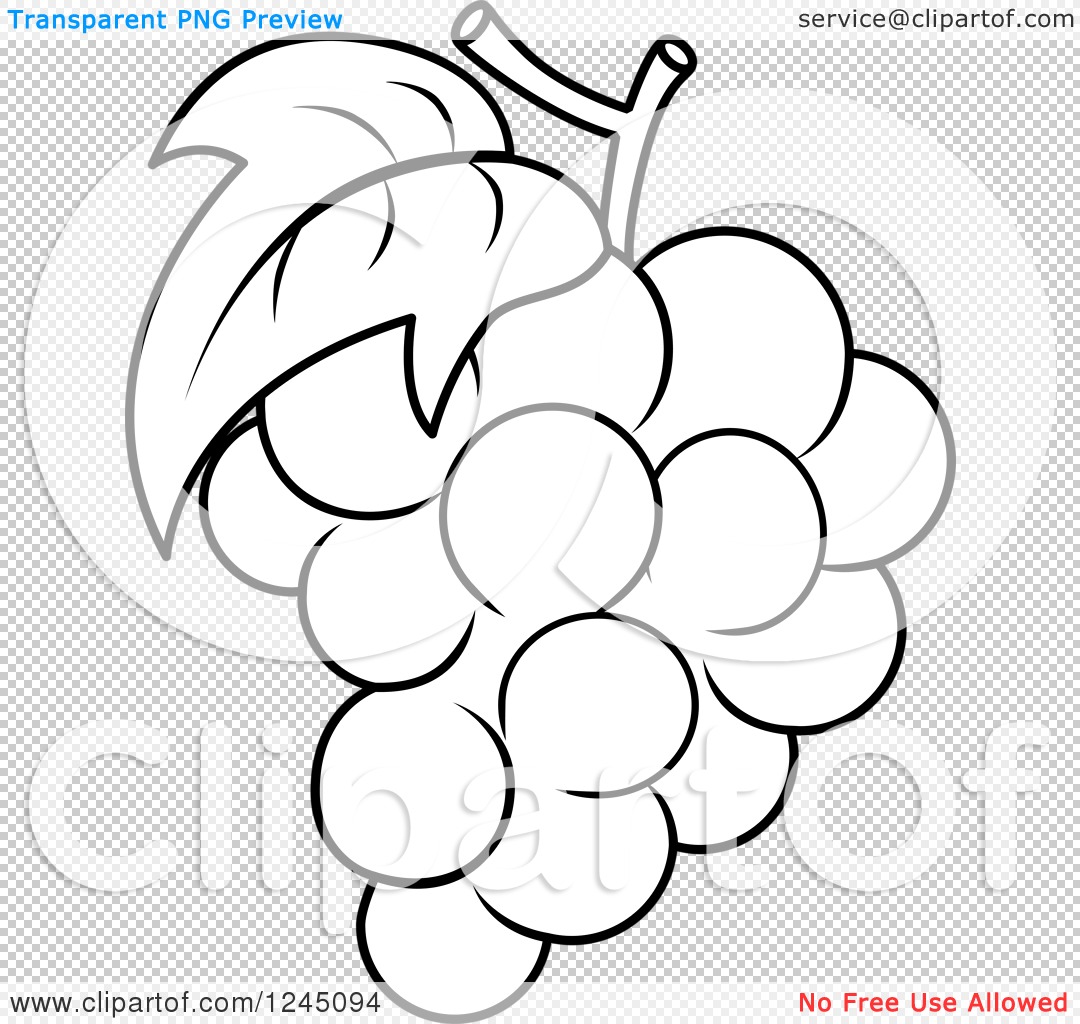 grapes clip art black and white