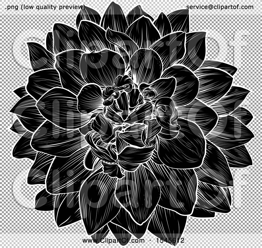 black and white dahlia clipart