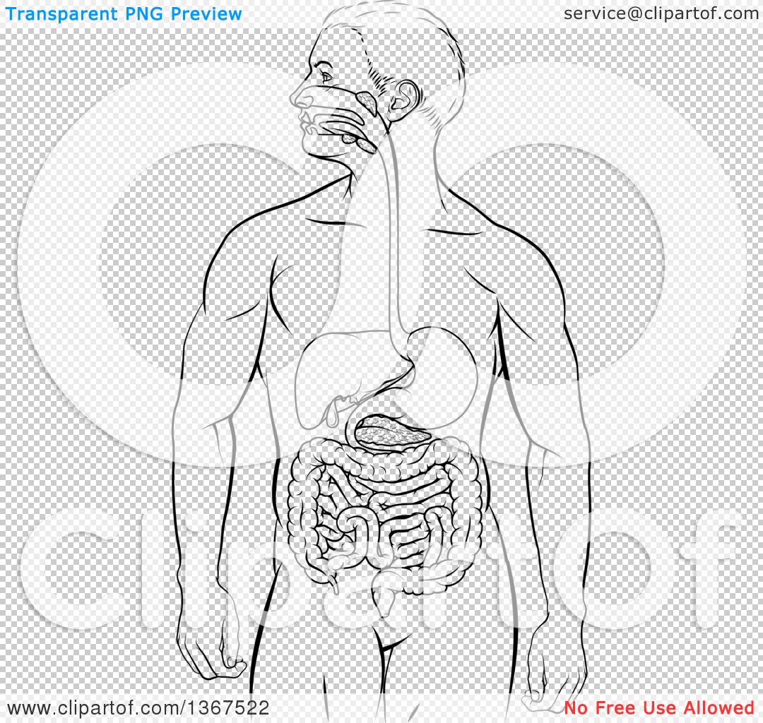 Clipart of a Black and White Diagram of a Man's Body with a Visible