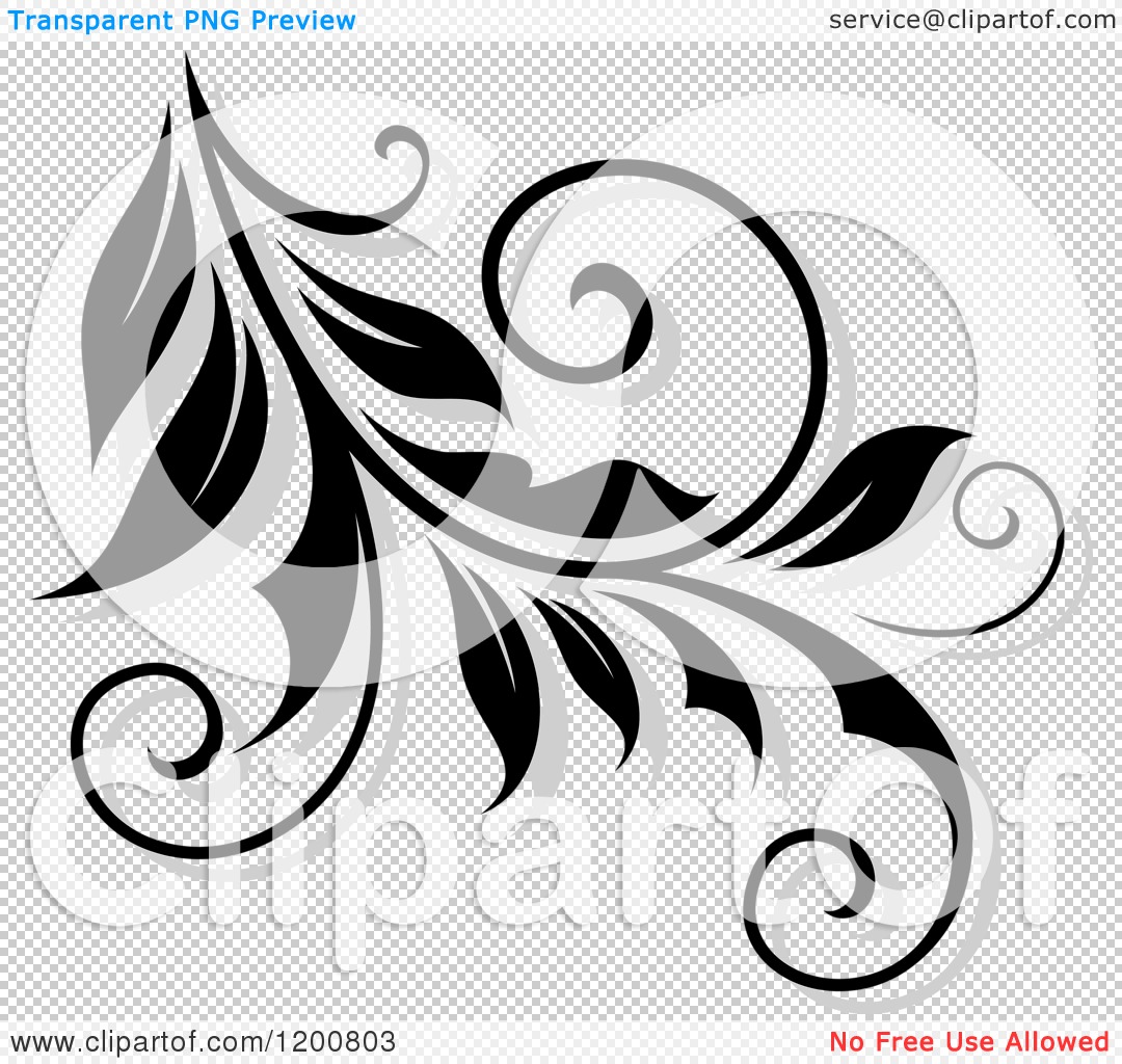 Clipart of a Black and White Flourish with a Shadow 12 - Royalty Free ...