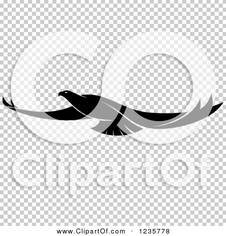 Transparent clip art background preview #COLLC1235778